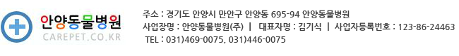 카피라이터